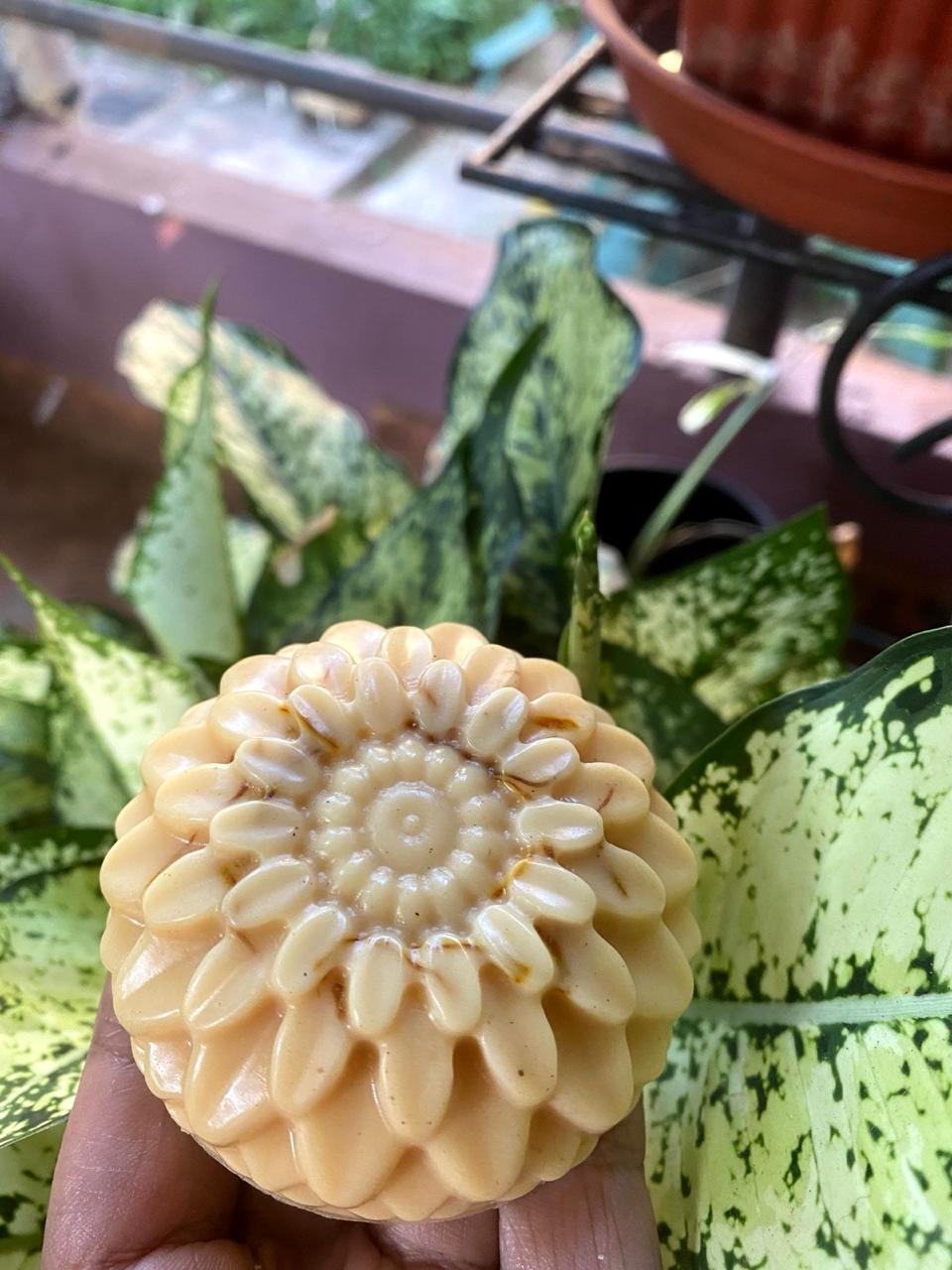 Golden milk soap